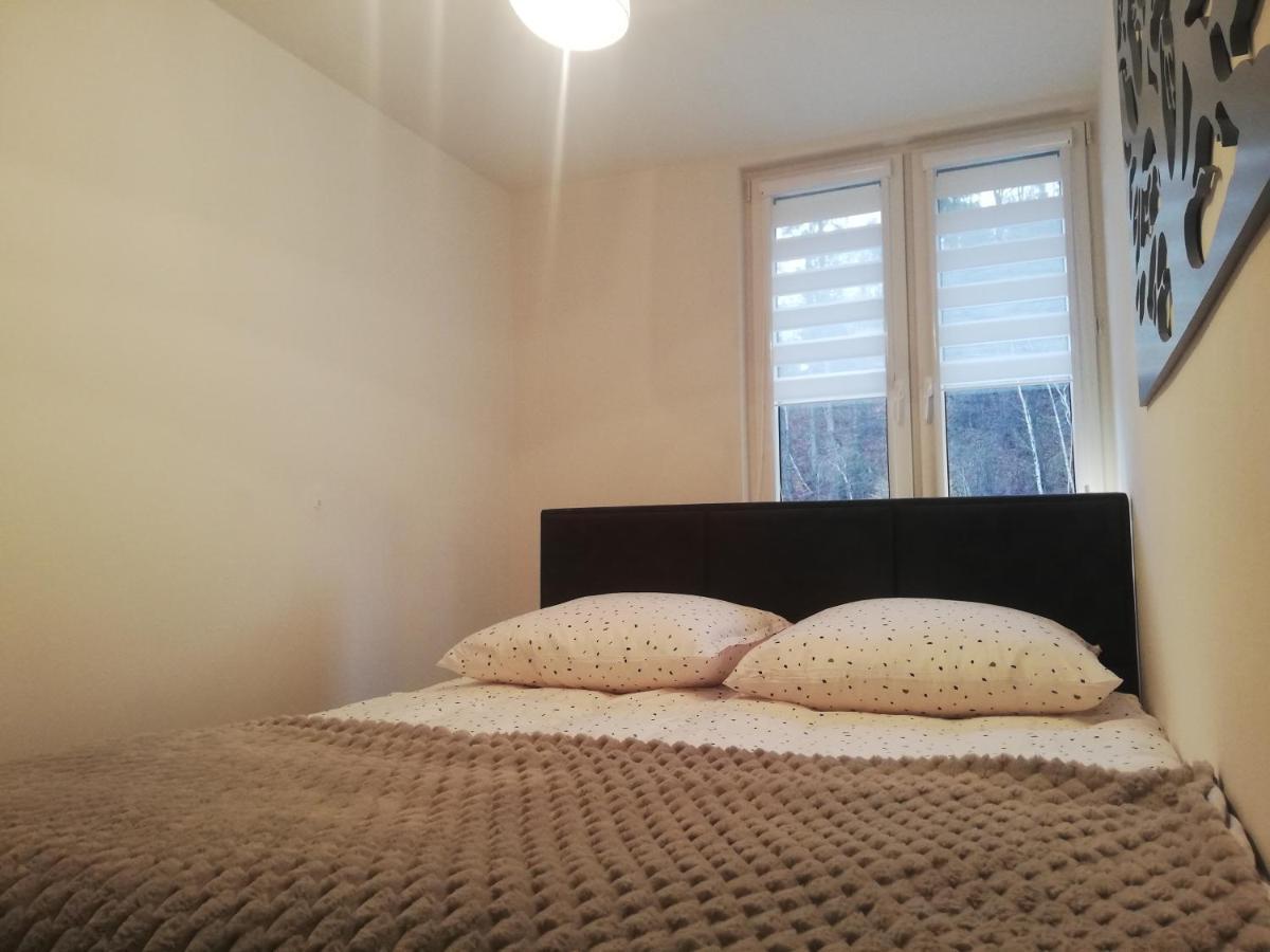 Apartament Stella Duszniki Zdroj Exterior photo