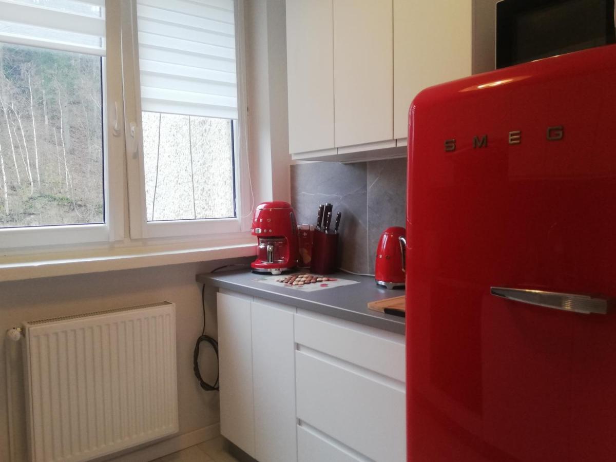 Apartament Stella Duszniki Zdroj Exterior photo